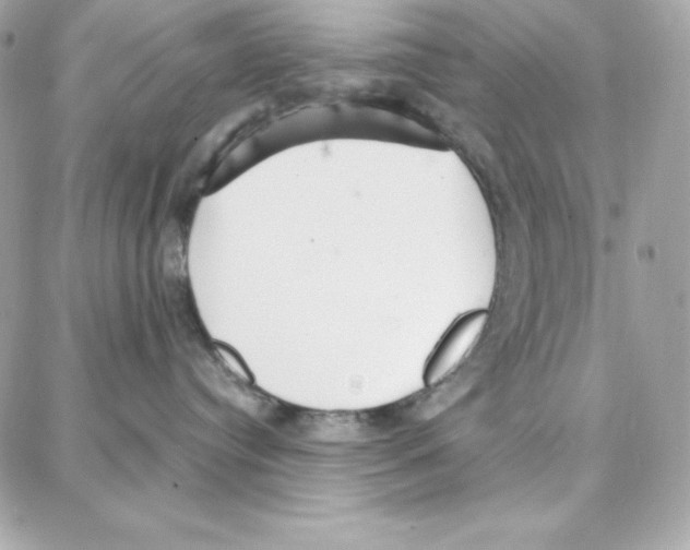 X0000087750384200706041108