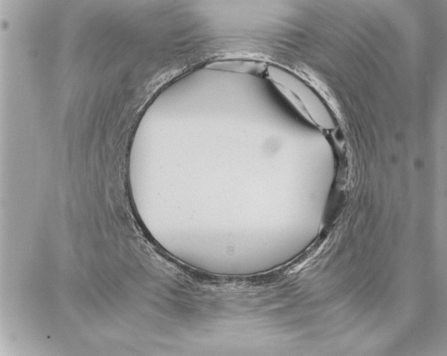 X0000087750385200706041107