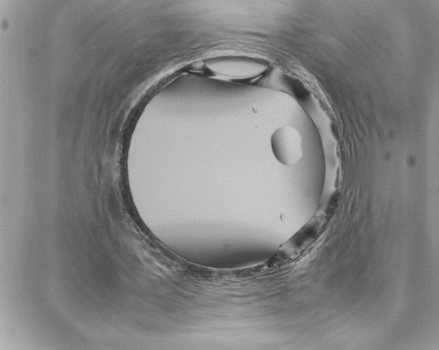 X0000087750387200706041107