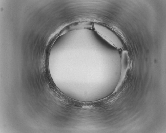 X0000087750388200706041107