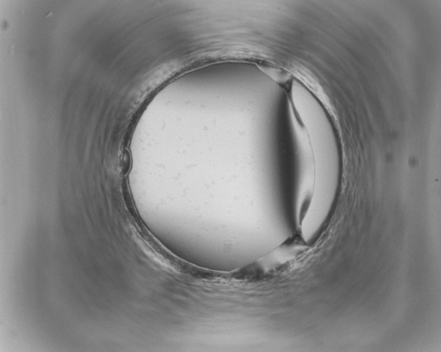 X0000087750389200706041107