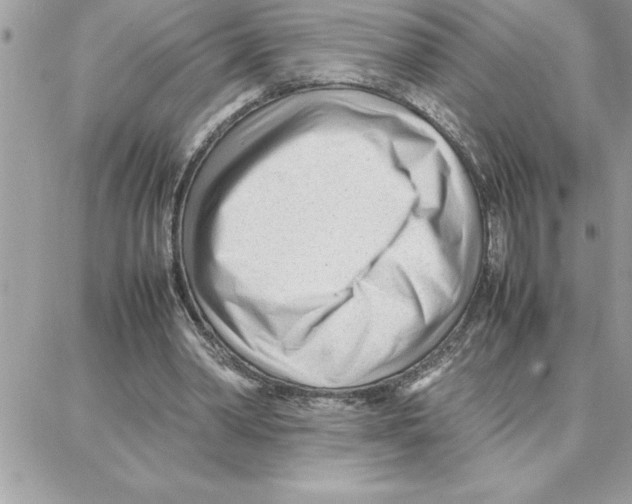 X0000087750390200706041107