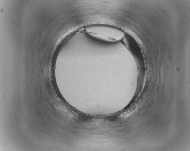 X0000087750391200706041107