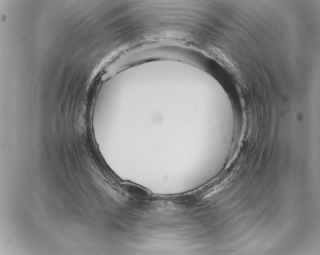 X0000087750392200706041107