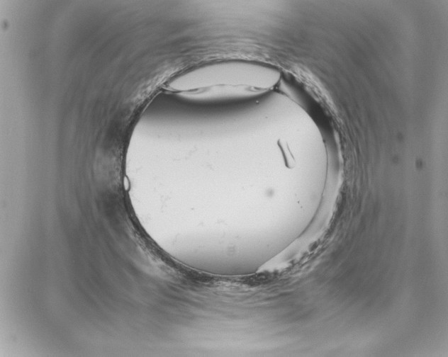 X0000087750393200706041107