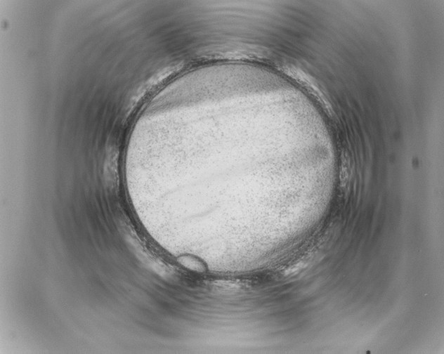 X0000087750394200706041107