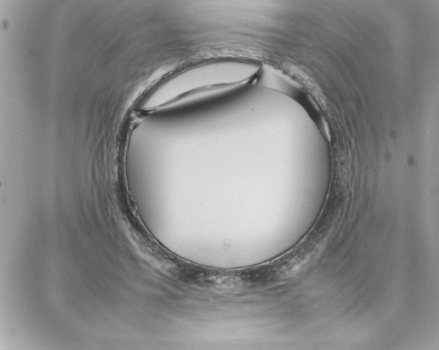 X0000087750395200706041107