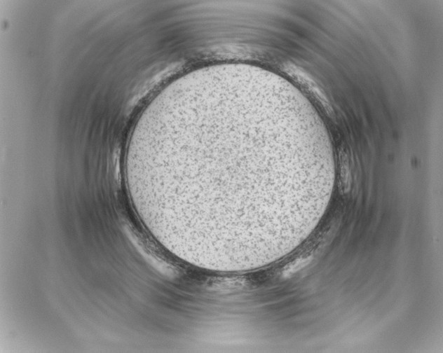 X0000087750398200706041107