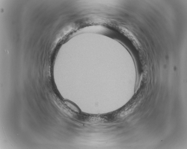 X0000087750399200706041107