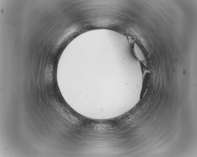 X0000087750400200706041107