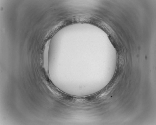 X0000087750401200706041107