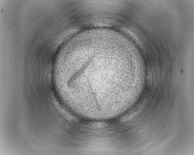 X0000087750402200706041107