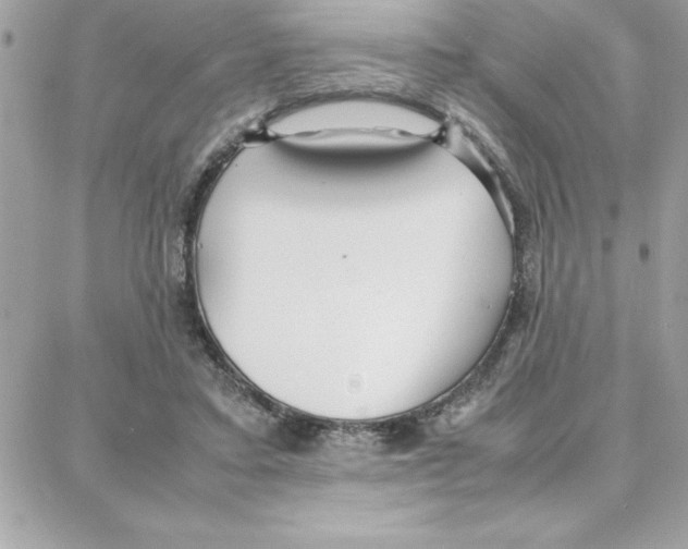 X0000087750403200706041107