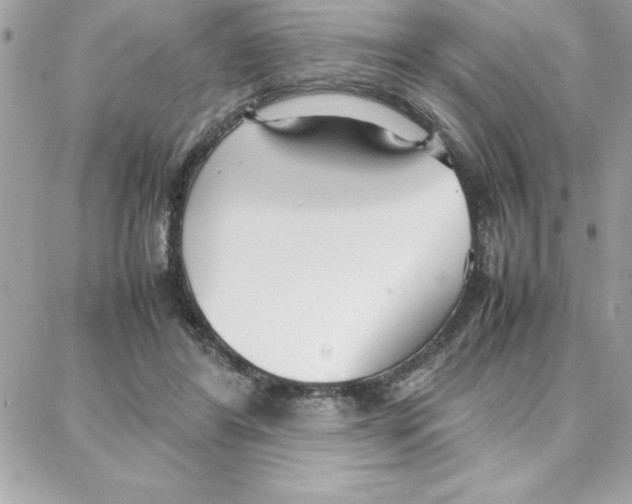 X0000087750404200706041107