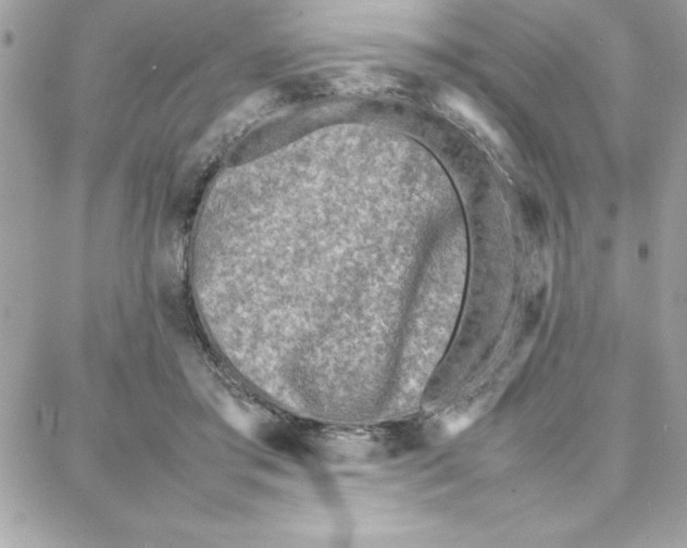 X0000087750405200706041106