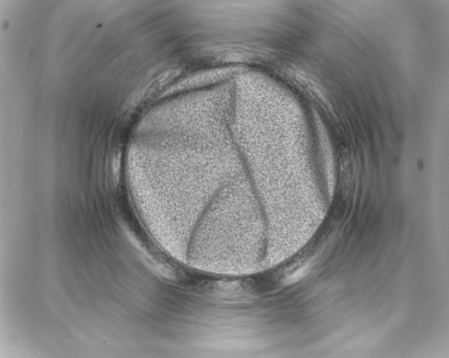 X0000087750406200706041106