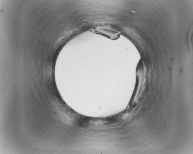 X0000087750407200706041106