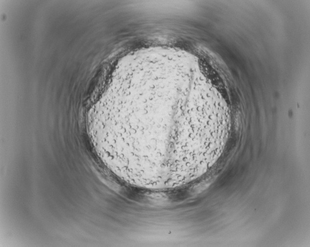 X0000087750409200706041106