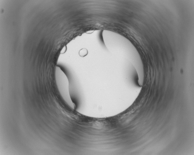 X0000087750412200706041106