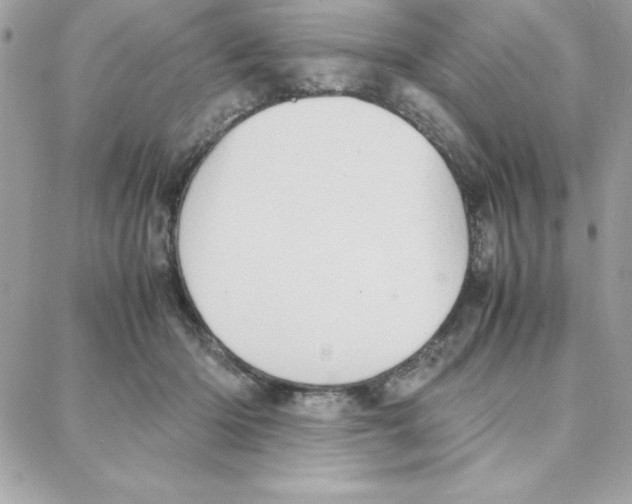 X0000087750414200706041106