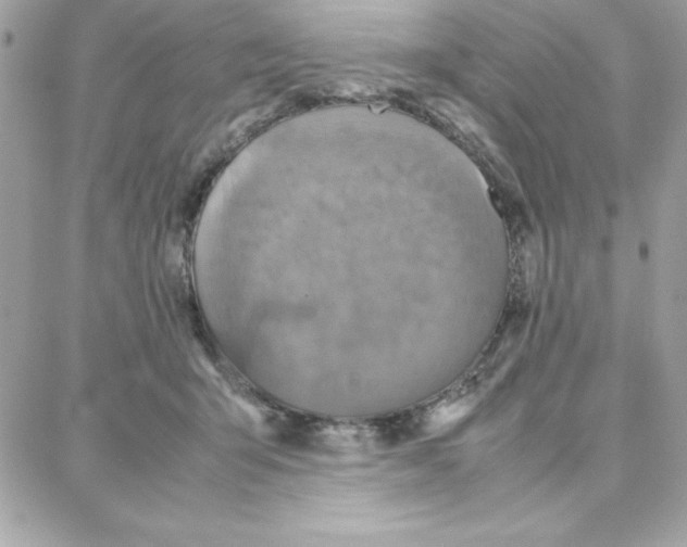 X0000087750415200706041106