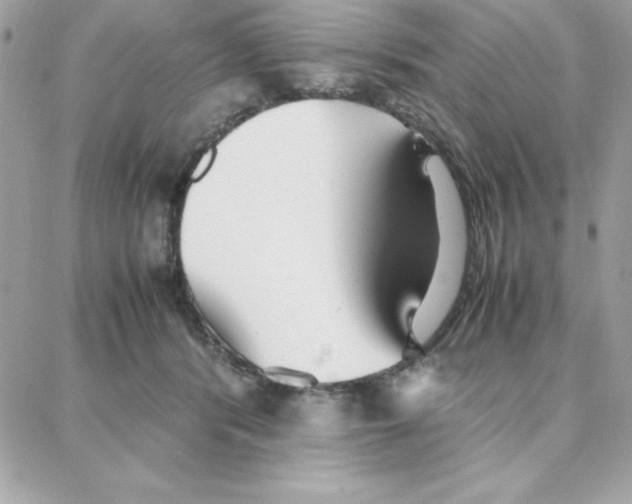 X0000087750416200706041106