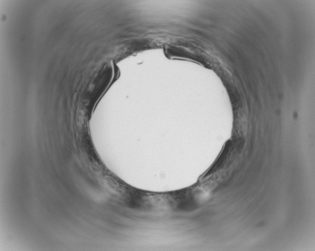 X0000087750417200706041106