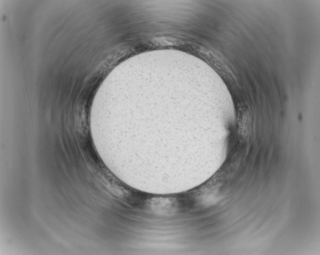 X0000087750418200706041106