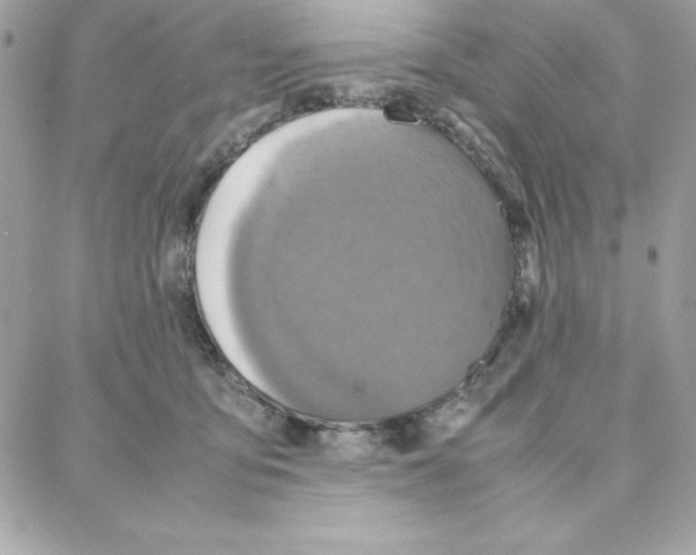 X0000087750419200706041106