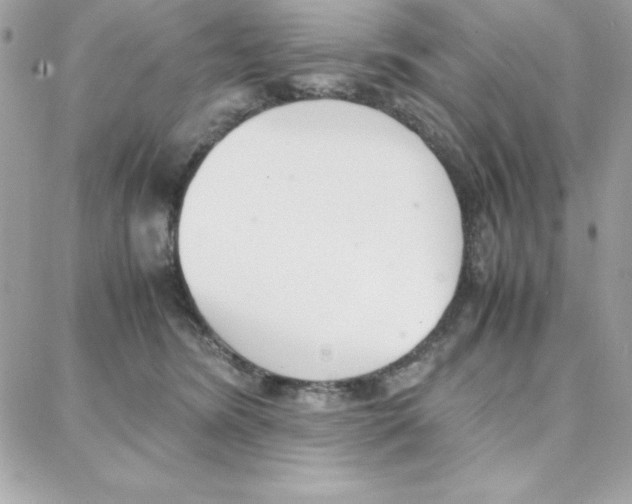 X0000087750420200706041106