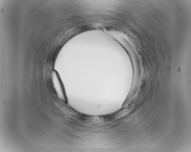 X0000087750421200706041106