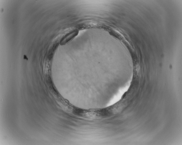 X0000087750423200706041106