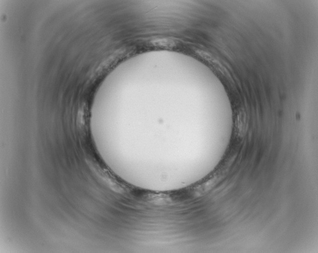 X0000087750424200706041106