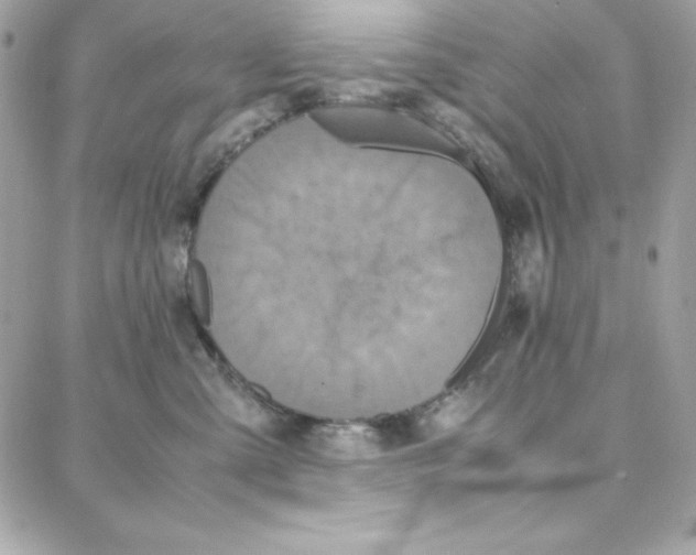 X0000087750427200706041106