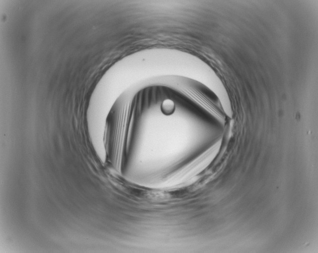 X0000087750429200706041106