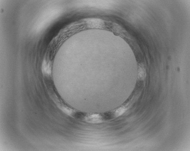 X0000087750431200706041106