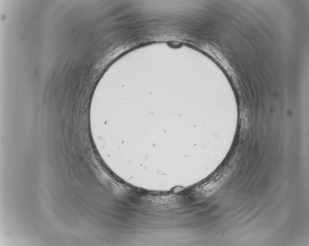 X0000087750433200706041105