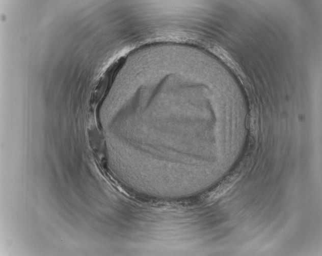 X0000087750434200706041105