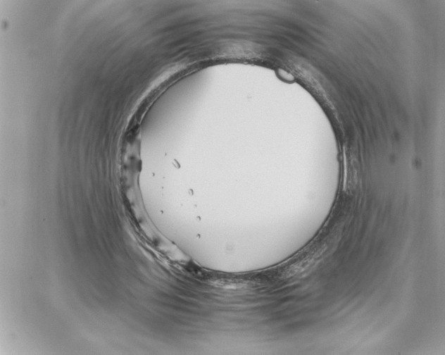 X0000087750435200706041105