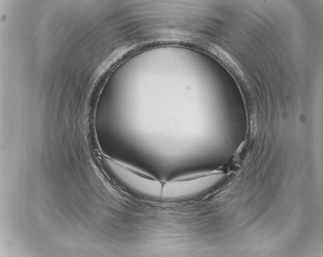 X0000087750436200706041105