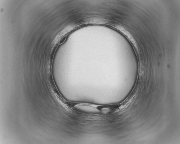 X0000087750437200706041105