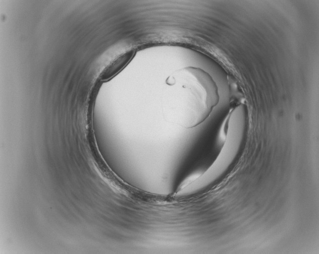 X0000087750438200706041105