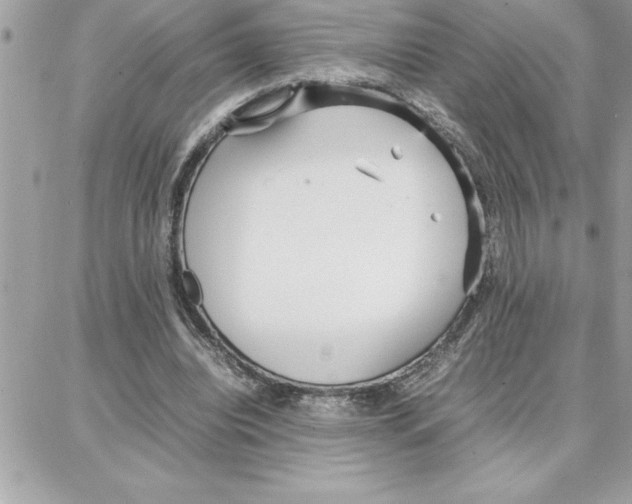 X0000087750440200706041105