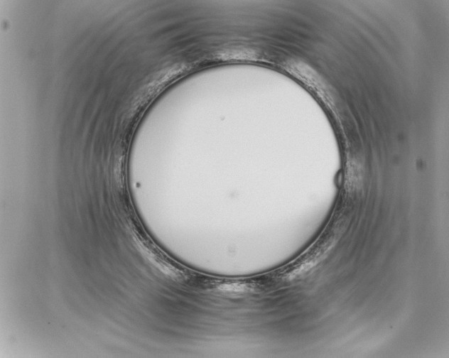 X0000087750441200706041105