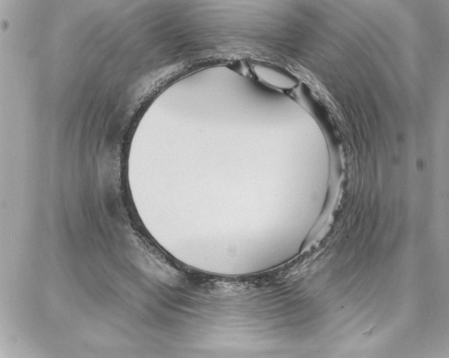 X0000087750442200706041105