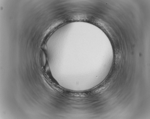 X0000087750443200706041105