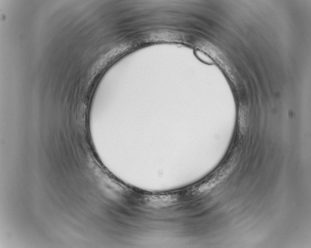 X0000087750445200706041105