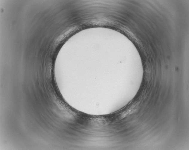 X0000087750446200706041105