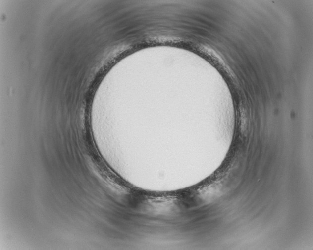 X0000087750447200706041106