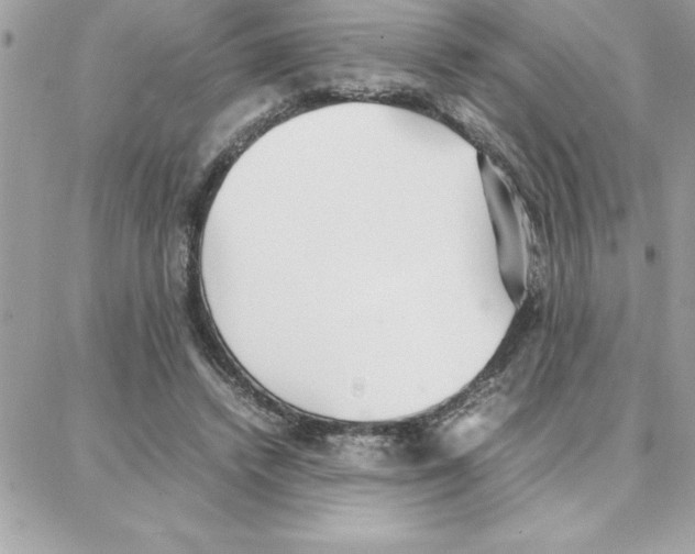 X0000087750448200706041106